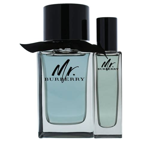 best burberry men's fragrance|mr burberry cologne for men.